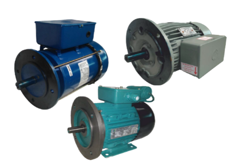 Flange Motors