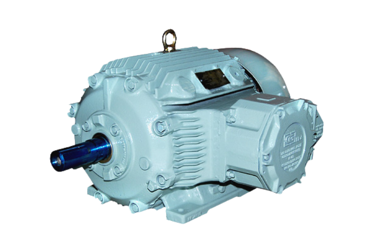 Flame Proof Motors